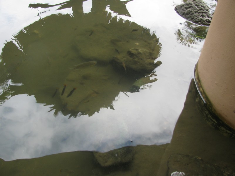 Dominican Republic 558.jpg